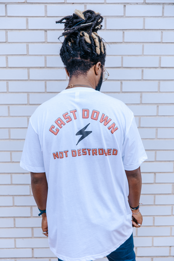 NOT DESTROYED TEE